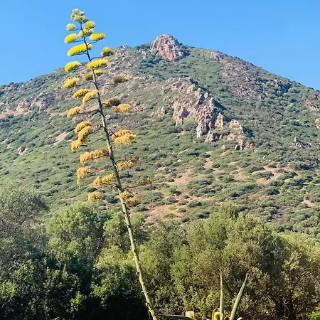 La Del Sud Bed & Breakfast Gonnesa