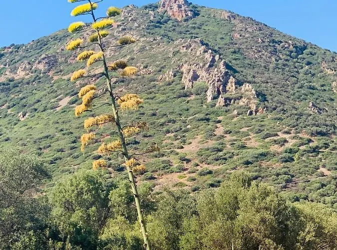 La Del Sud Bed & Breakfast Gonnesa